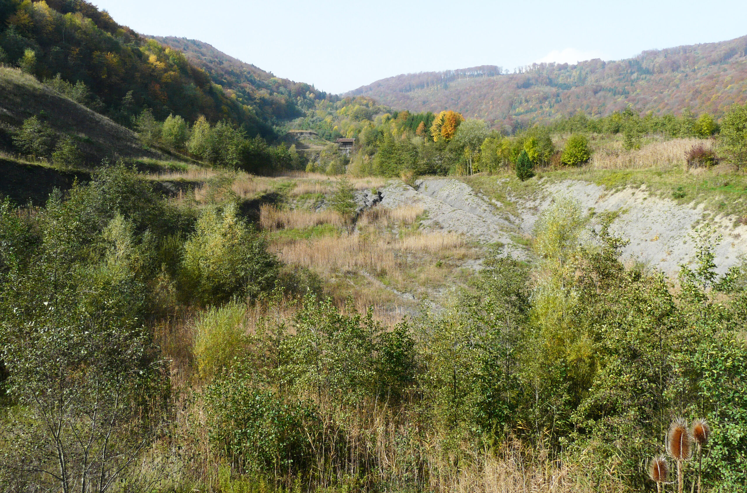 Eriwis_15_10_08_P1000850 web Start
