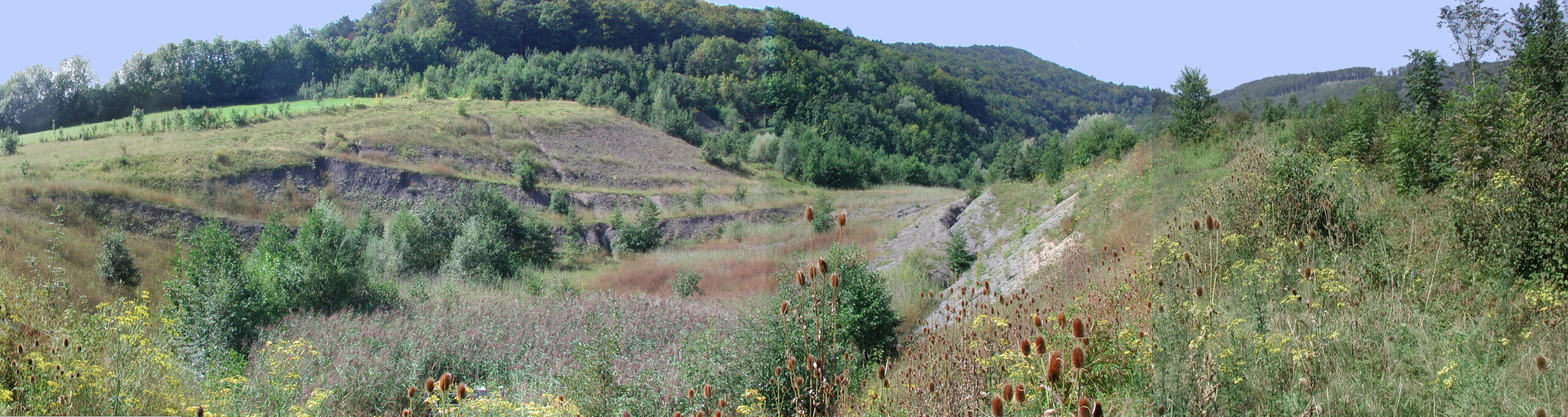 Naturwerkstatt