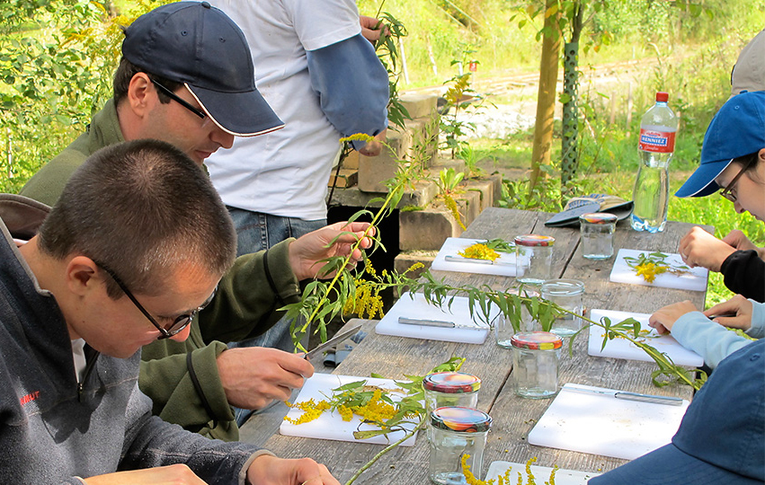 Box_Landschaftsmedizin_Gruppen